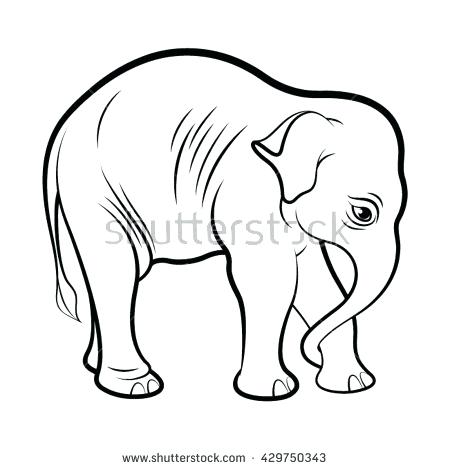 450x470 Indian Elephant Outline Drawing Printable Coloring Baby Elephant