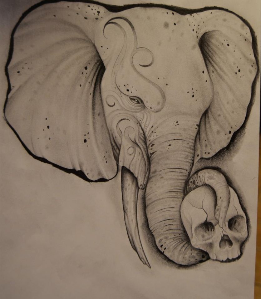 836x955 Elephant Drawing By Johan887766