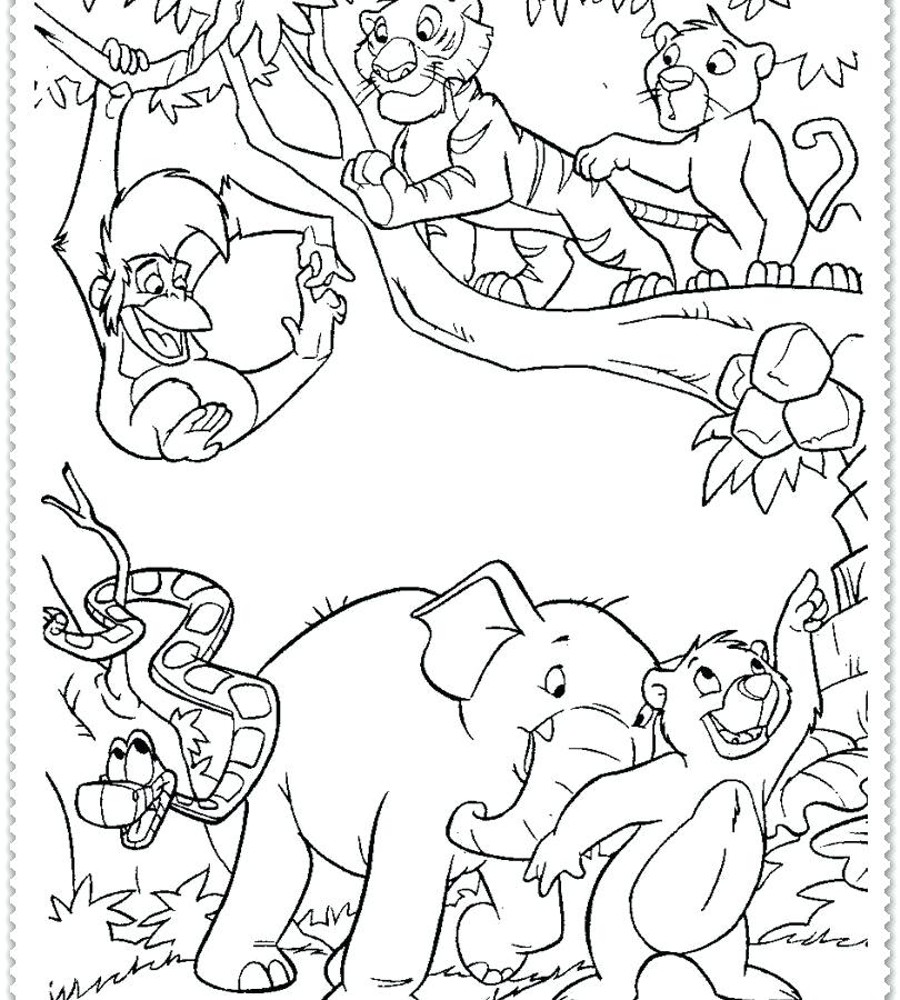 810x900 Jungle Animals Coloring Page Jungle Printable Coloring Pages Also