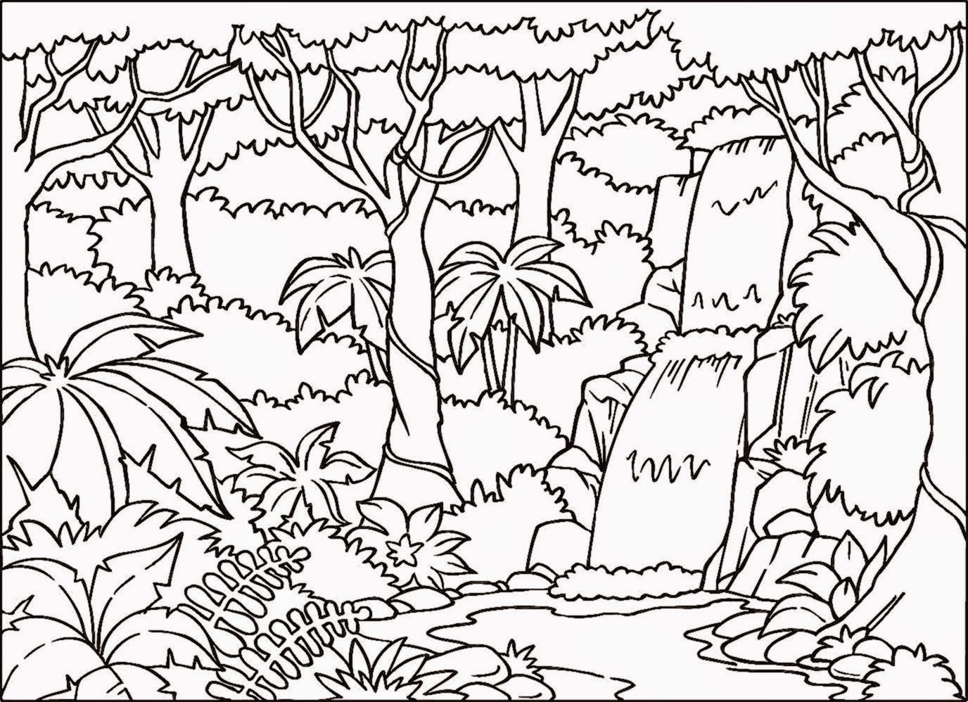 1376x998 Special Jungle Pictures To Color Safari Coloring Pages How Draw