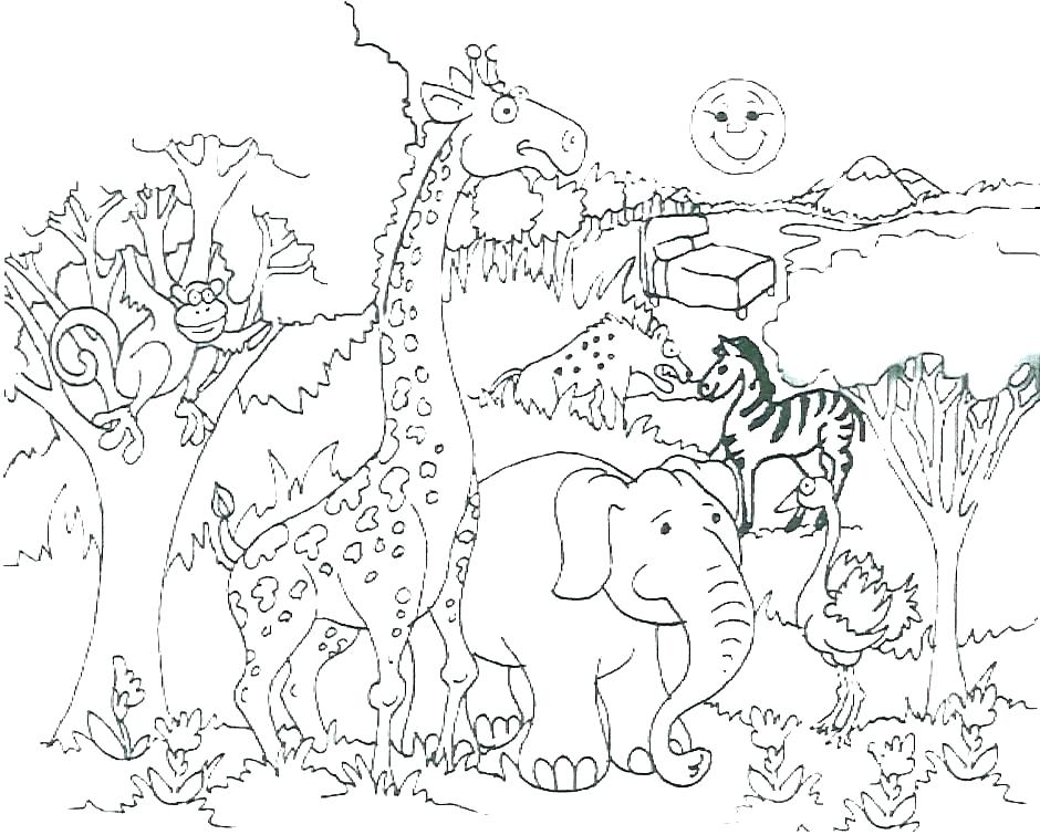 940x755 Coloring Pages Of Jungle Animals Safari Coloring Pages Coloring