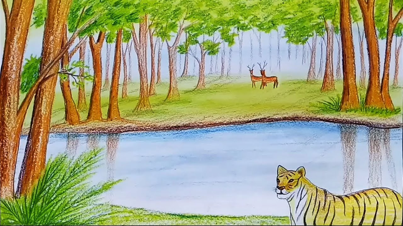 1280x720 How To Draw Scenery Of Forest ( Sundarban ) Step By Step