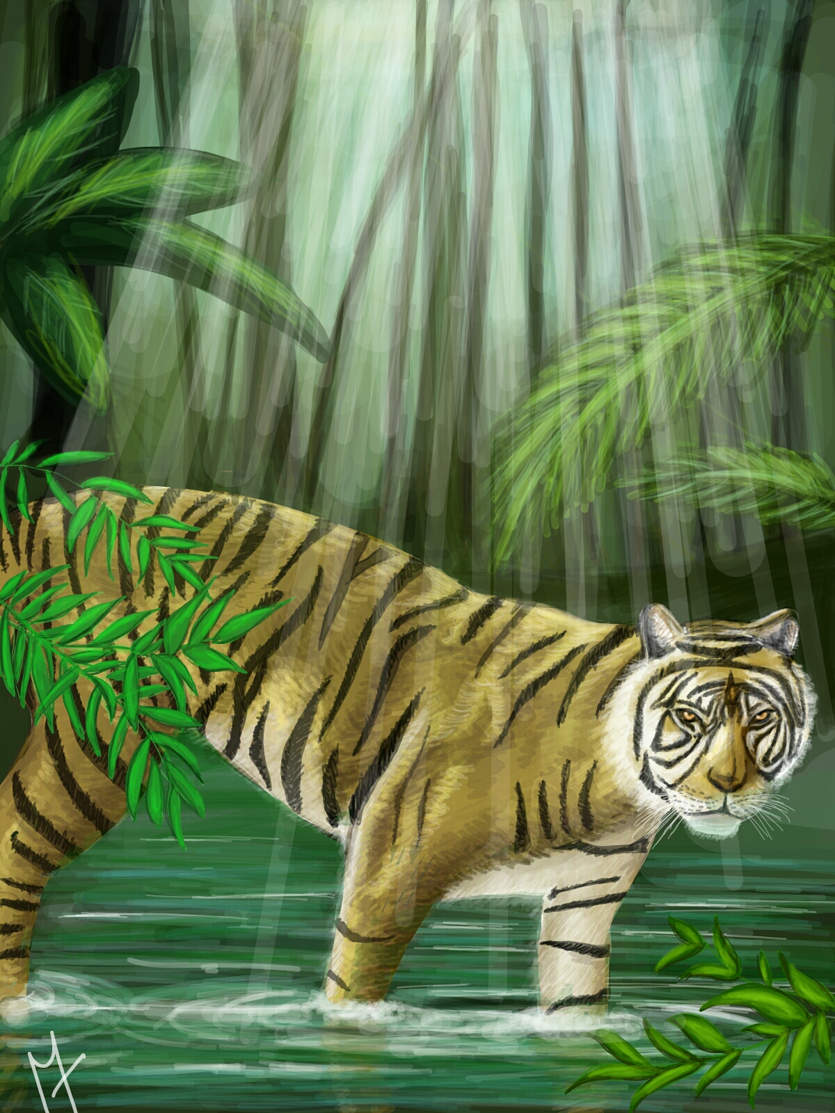 1200x1600 Wild Art The Top 10 Contest Winners From Jungle Drawing Challenge