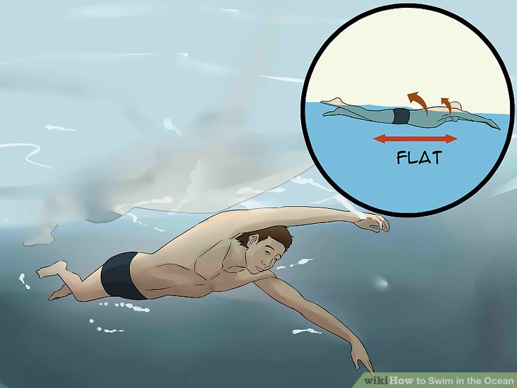 728x546 How To Swim In The Ocean (With Pictures)