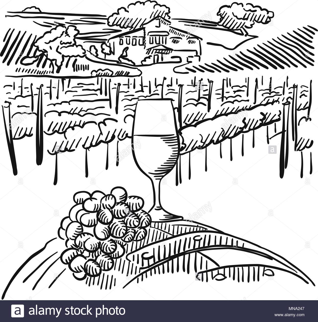 1300x1315 Vineyard With Hills And Glass Of Vine In Foreground, Vector