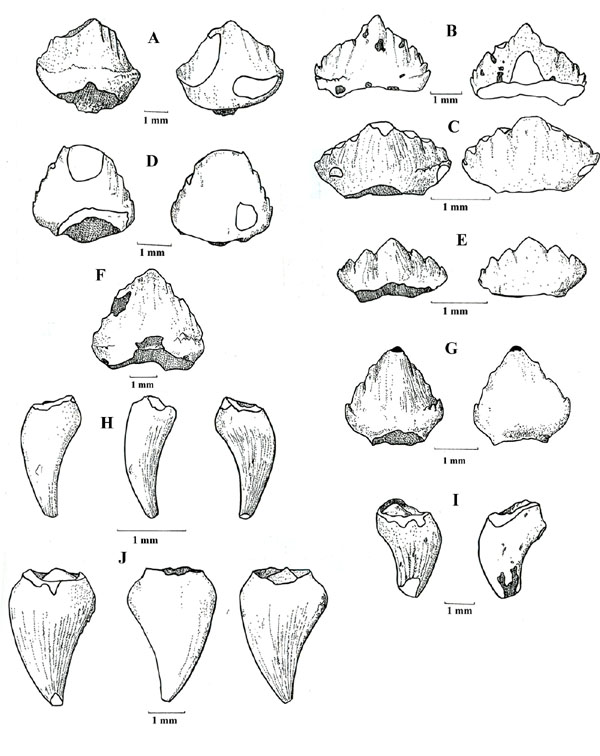 600x756 Untitled Document