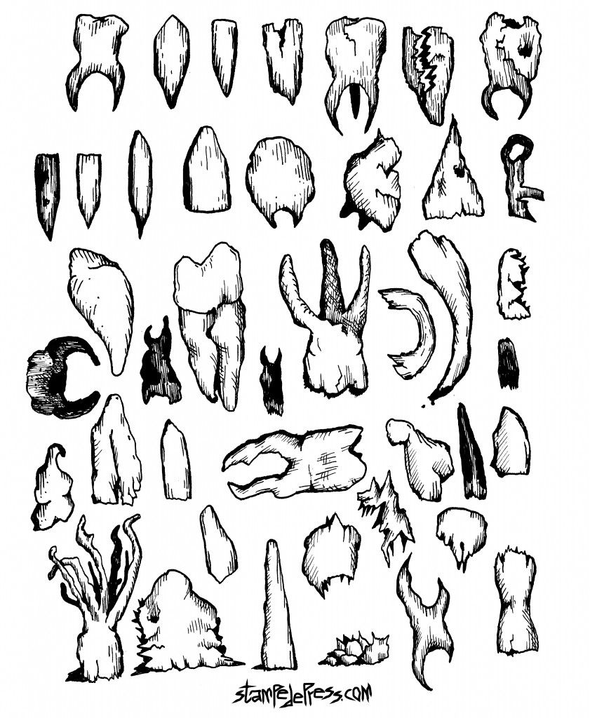 841x1024 42 Teeth Drawing By Dr. John Beckmann Of Stampedepress.