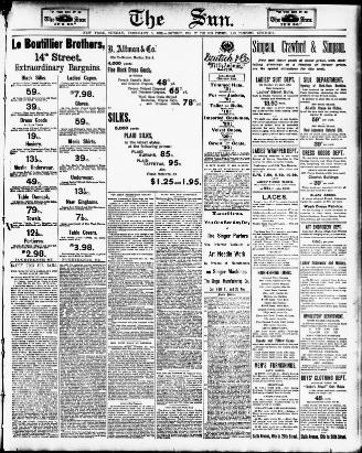 328x411 The Sun. (New York [N.y.]) 1833 1916, February 05, 1893, Image 13