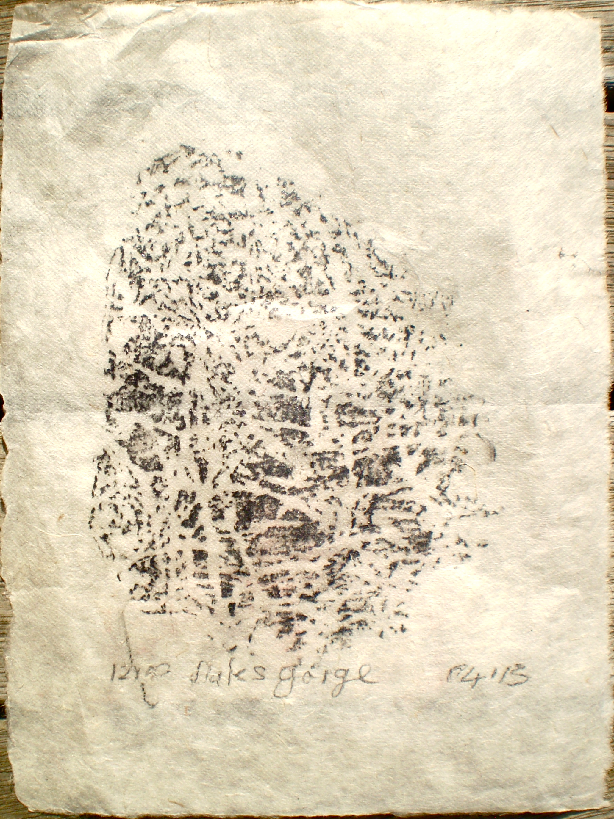 2063x2754 Rice Paper Elaine D'Esterre