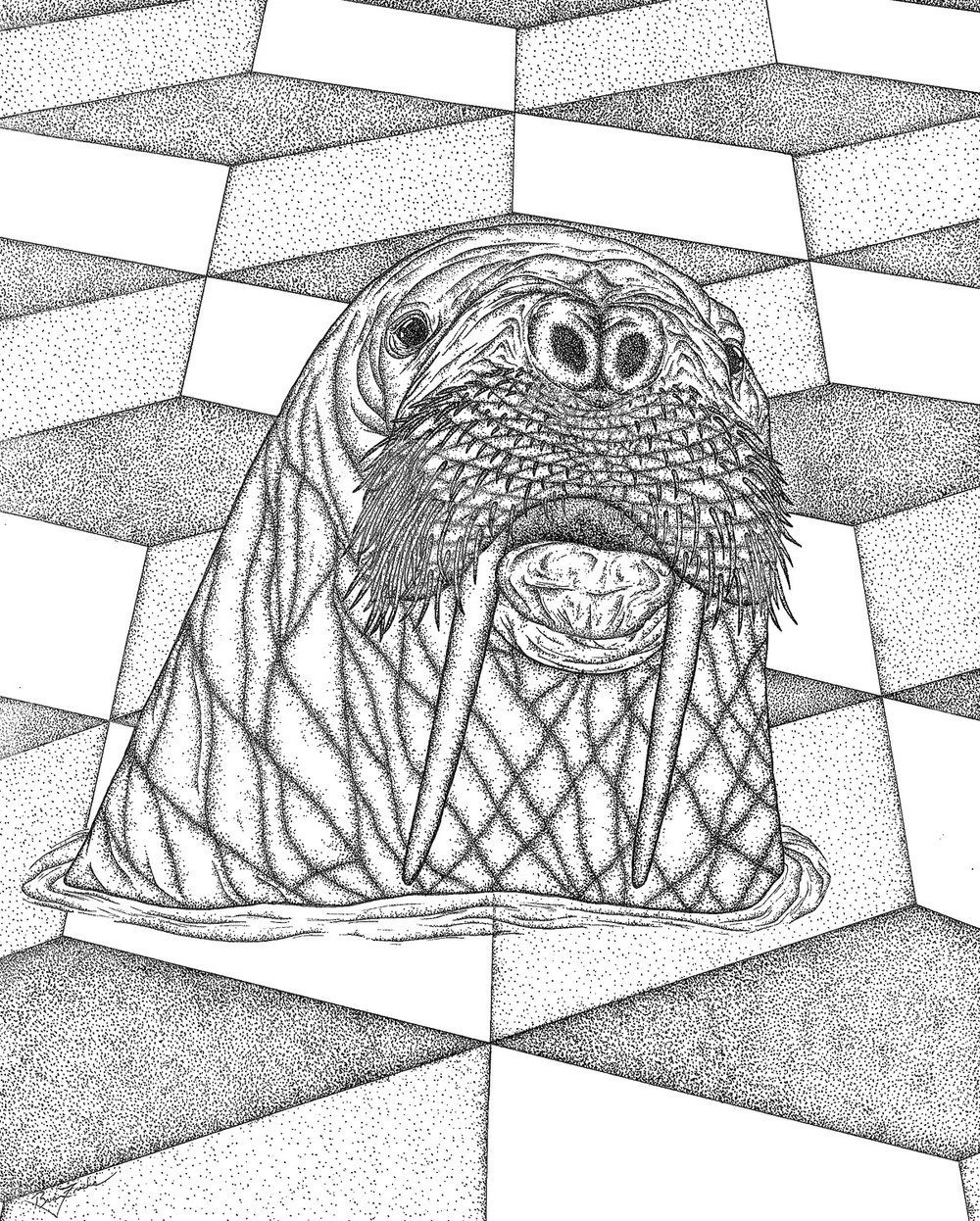 1000x1246 Drawings Brian Frerichs Art