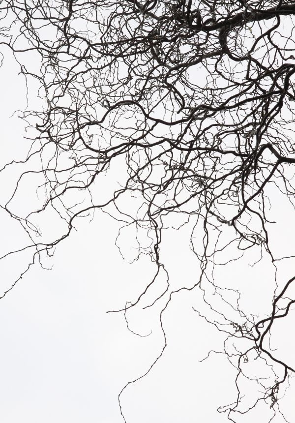 Drawing Pictures Of Nature With Colour