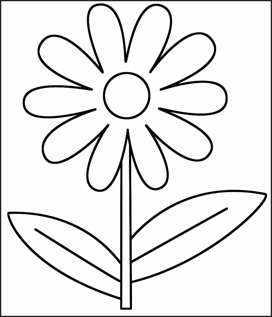 902x1052 Chitravali Colour Pencil Drawing Tulip Spring Flower Pictures