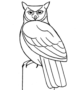 250x293 Collection Of Great Horned Owl Easy Drawing High Quality