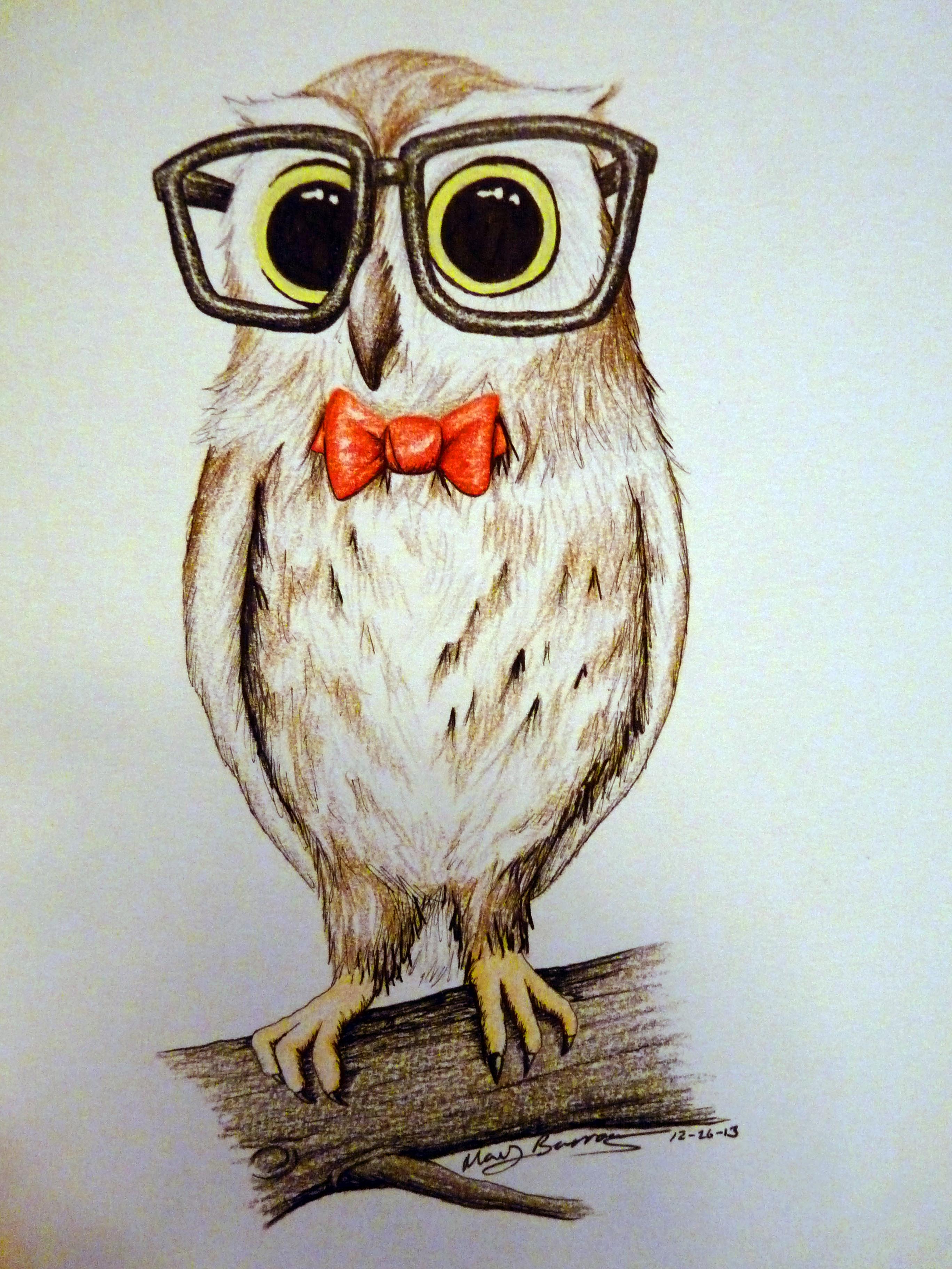 2736x3648 Owl High Quality Drawing Drawing Skill