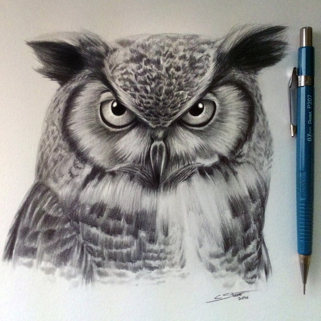 1024x1024 Pencil Drawings Of Owls Afficher L'Image D'Origine Owl