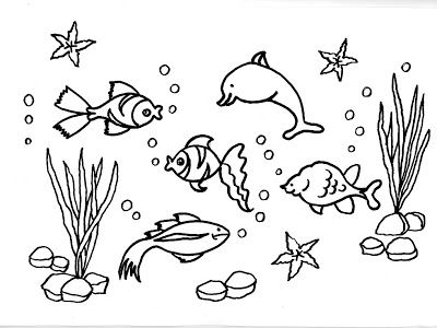 400x300 Resultados De La De Imagenes De Delfines Y