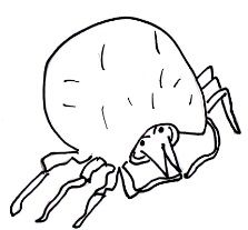 223x207 Getting The Best Dust Allergy Prevention