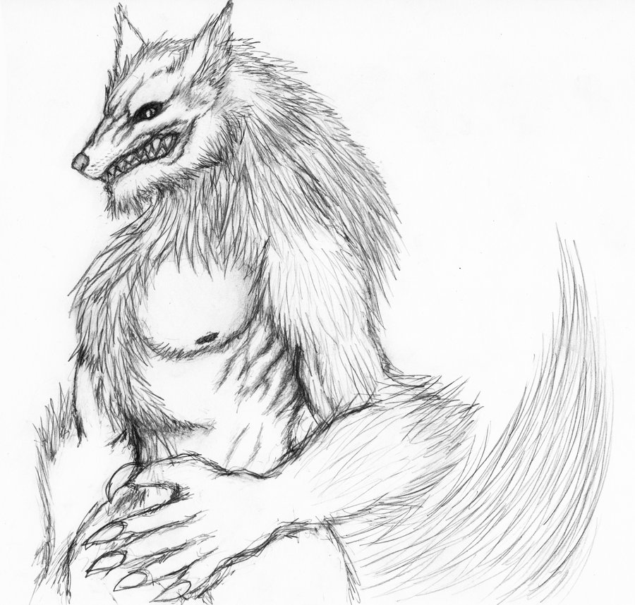 900x858 Werewolf Sketches Drawings Werewolf Sketch Dyndase