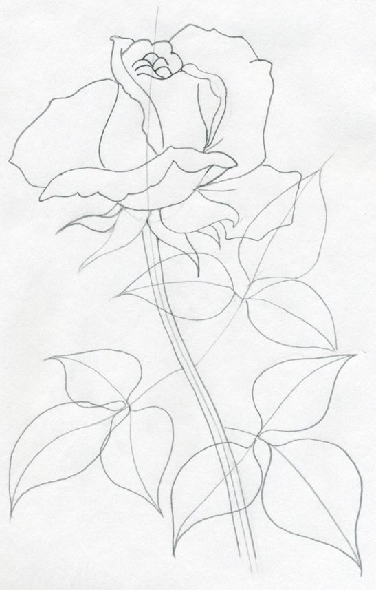 547x857 Draw A Rose Quickly, Simply And Easily
