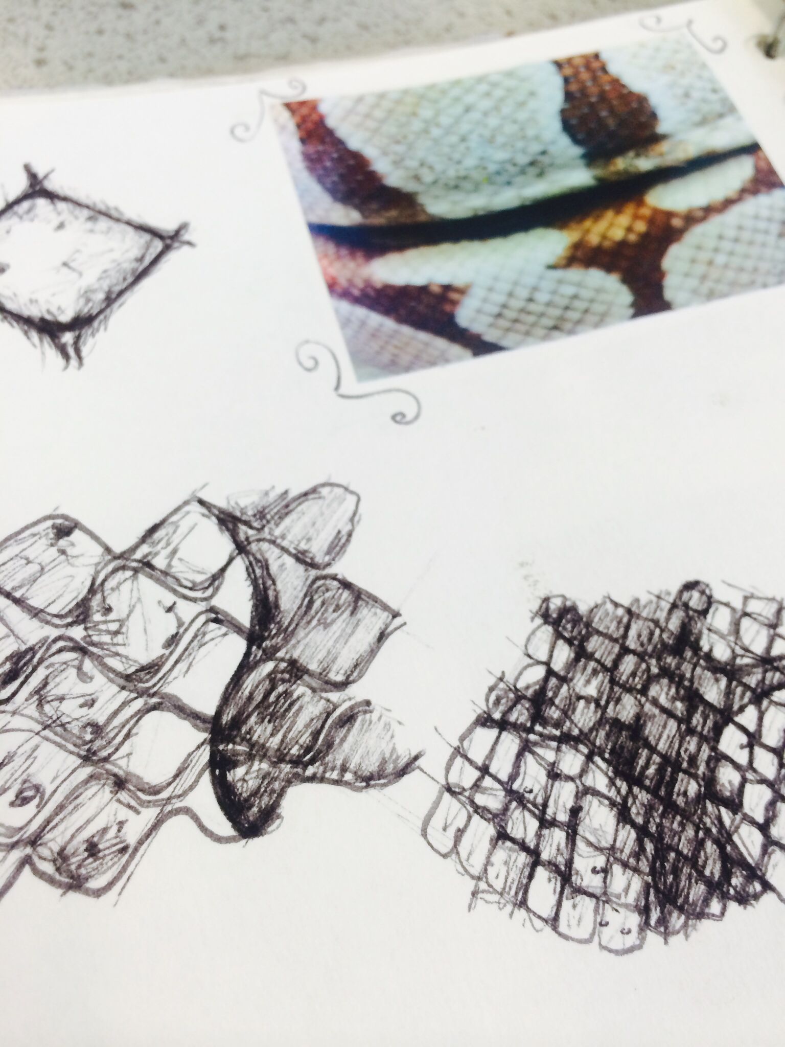 1536x2048 Kirsty Whitehead