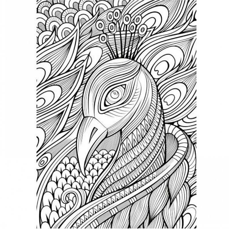 800x800 Image Result For Art Therapy Drawing A Kind Of Alaska