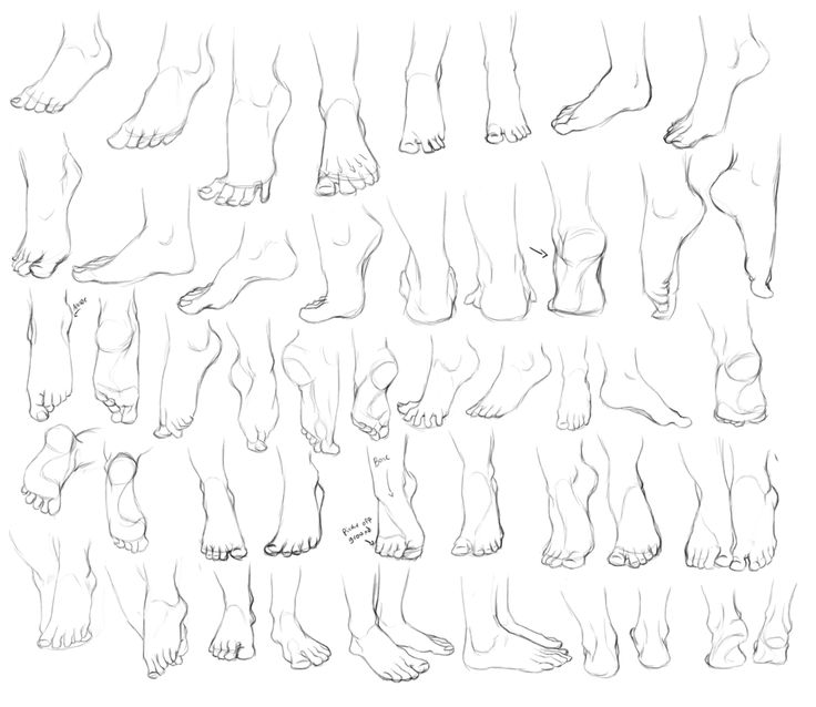 736x638 The 37 Best Drawing Reference Legs Amp Feet Images
