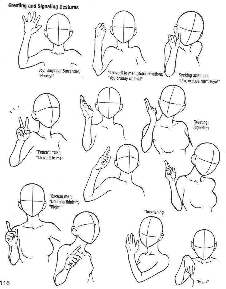 736x939 Arm And Hand Positions Drawing