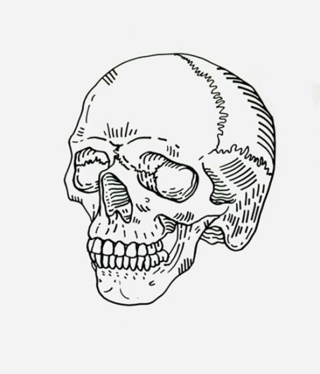 454x530 Dibujo Flash Ideas Style, Skull Illustration