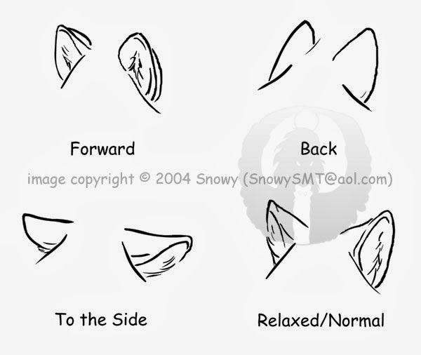 600x506 1594 Best Drawing Images On Drawing Ideas, Drawing