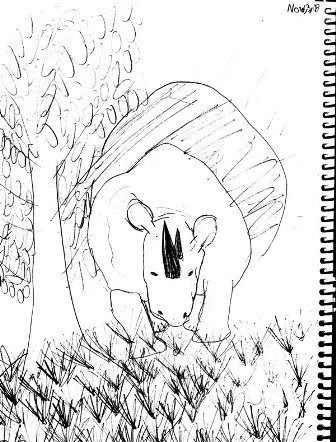 336x442 Using Drawing With Children By Mona Brookes Hubpages