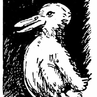 320x320 The Duck Rabbit Illusion Is A Classic Example Of A Download