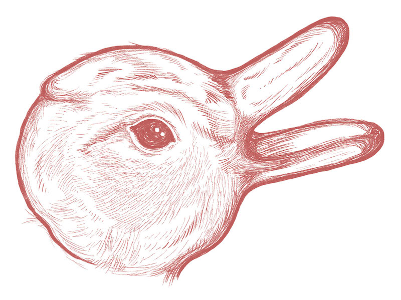 800x599 Duck Rabbit Duality Paradox And The Origins Of Civilisation