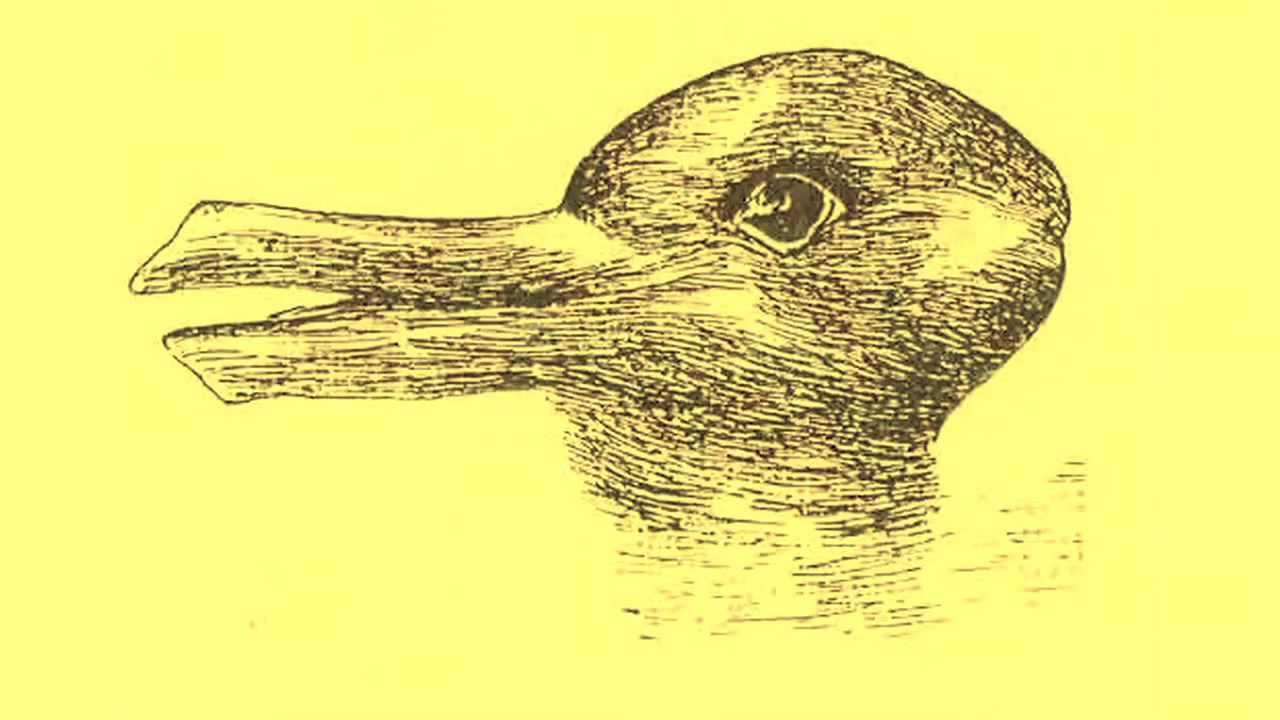 1280x720 Is Gold Duck Or Rabbit