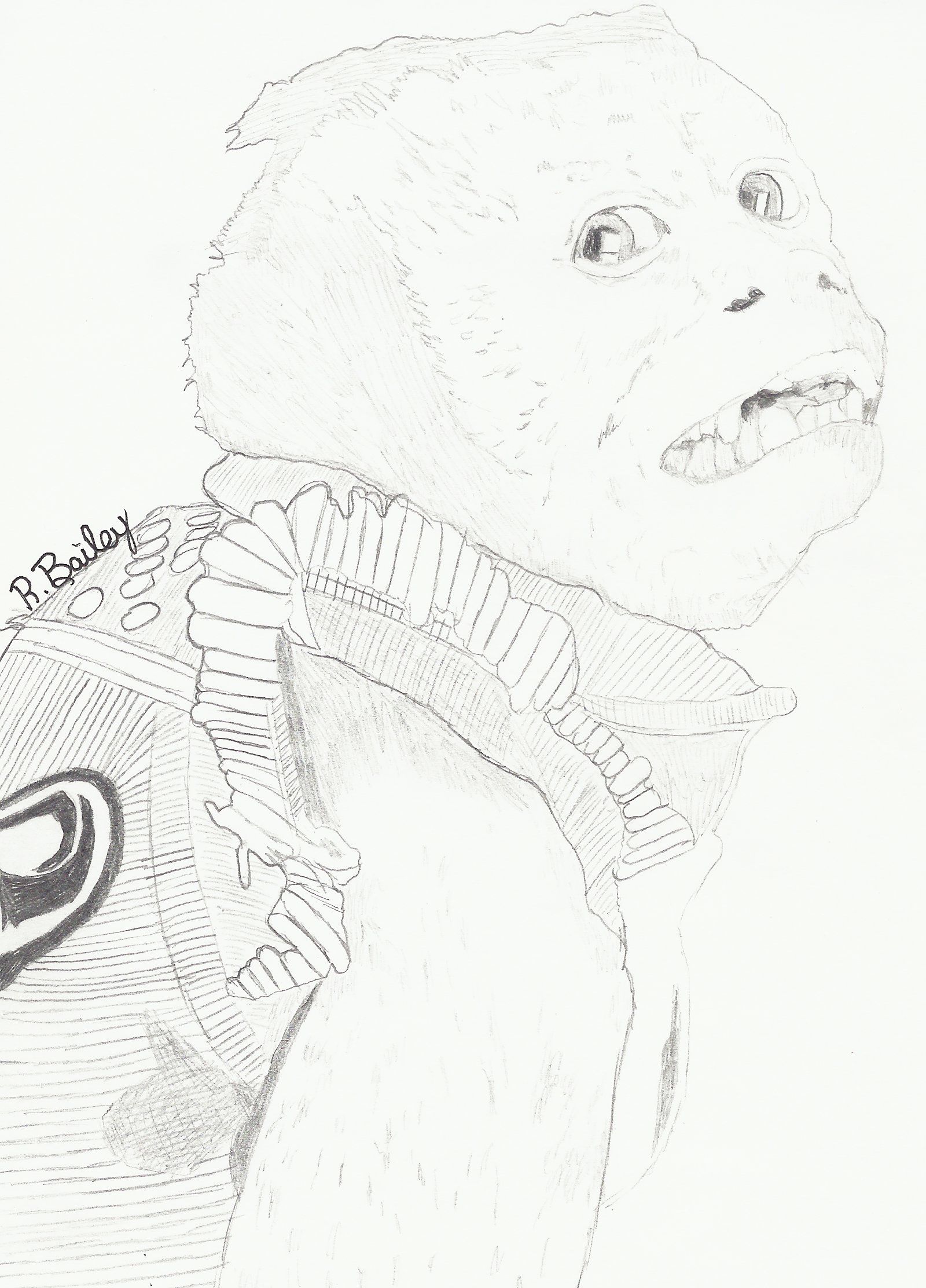 1600x2224 The Monkey (The Hangover 2) Drawings Drawings
