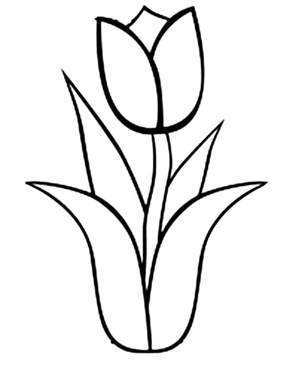 600x777 Flower Outline Coloring Page Coloring Flower Big Flower Template