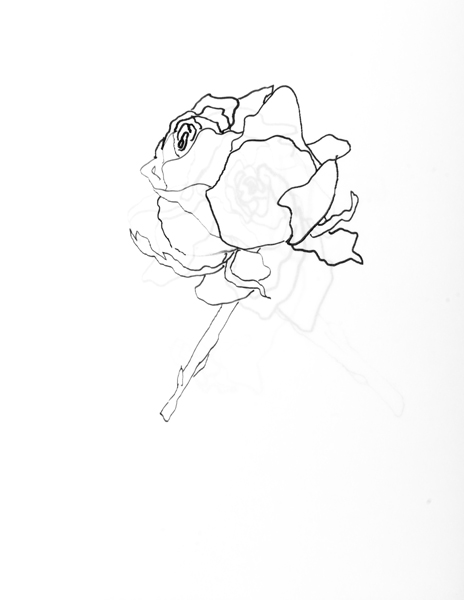 464x600 99 Ways To See A Dying Rose
