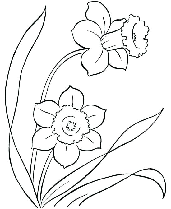 550x672 Coloring Of Flowers S Bouquet Coloring Page Free Flowers Coloring