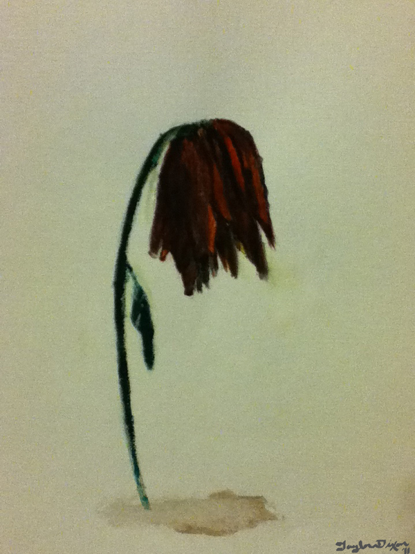 600x800 Slow Dying Flower By Tayloranndixon