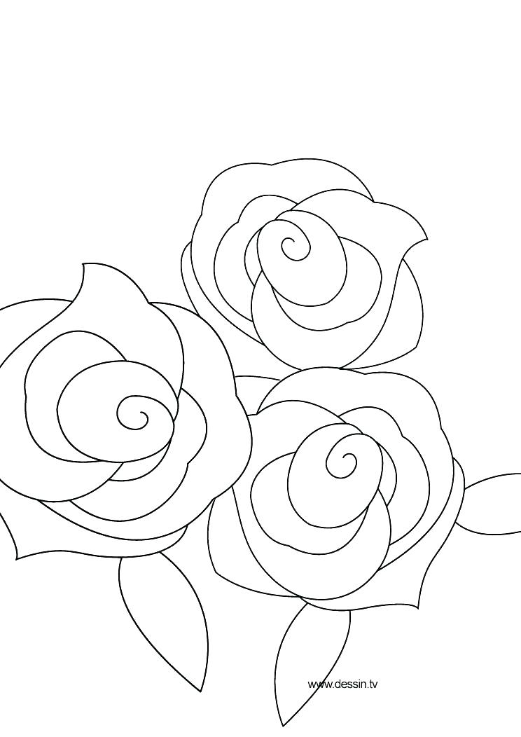 744x1052 Colouring Picture Of Rose Coloring Pictures Of Roses Coloring