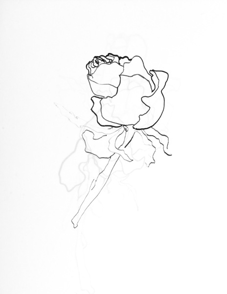 464x600 99 Ways To See A Dying Rose
