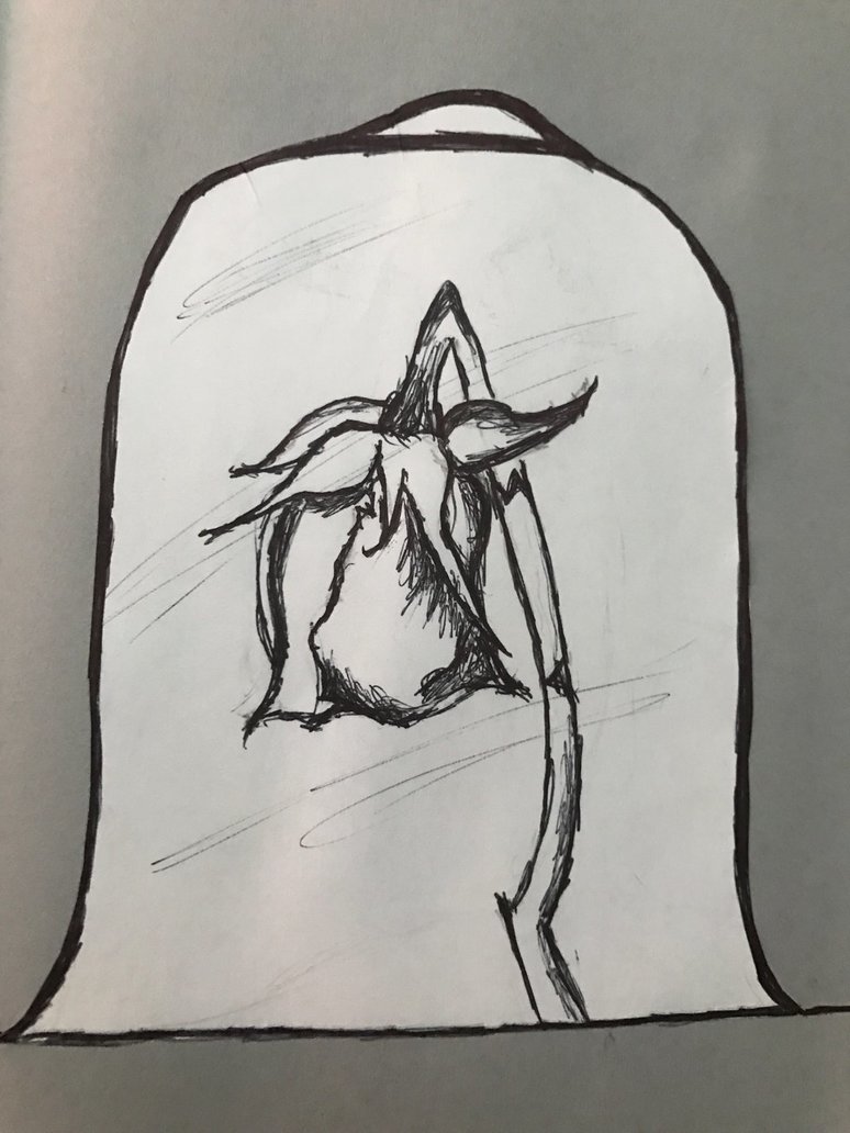 774x1032 The Dying Rose By Pandsduarts