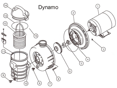 380x286 Pentair Dynamo Pump Parts