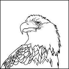 236x236 Bald Eagle Drawings And Coloring Pages! Bald Eagle