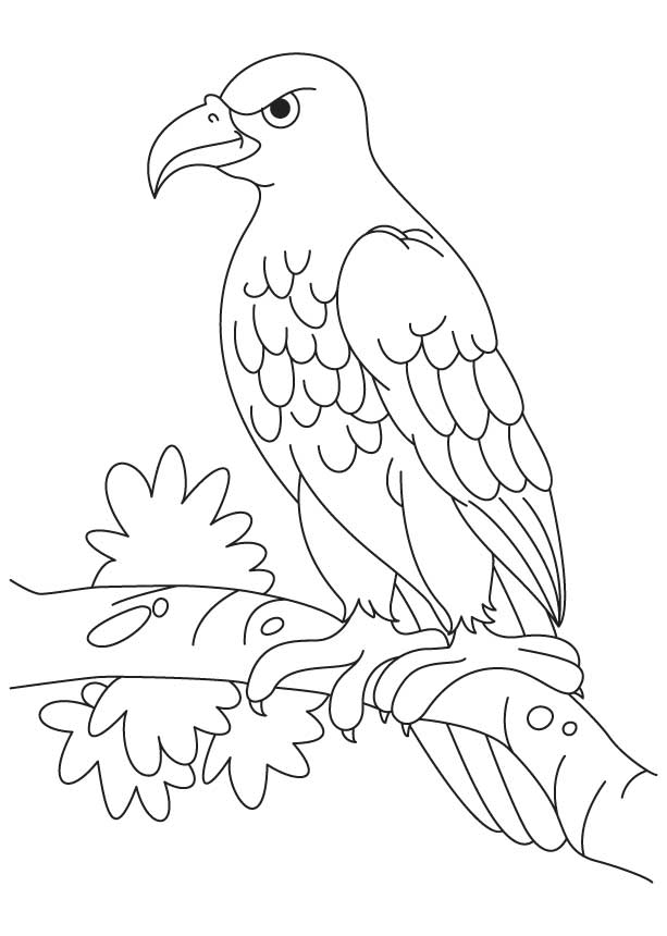 613x860 Eagle Pictures To Color 486231