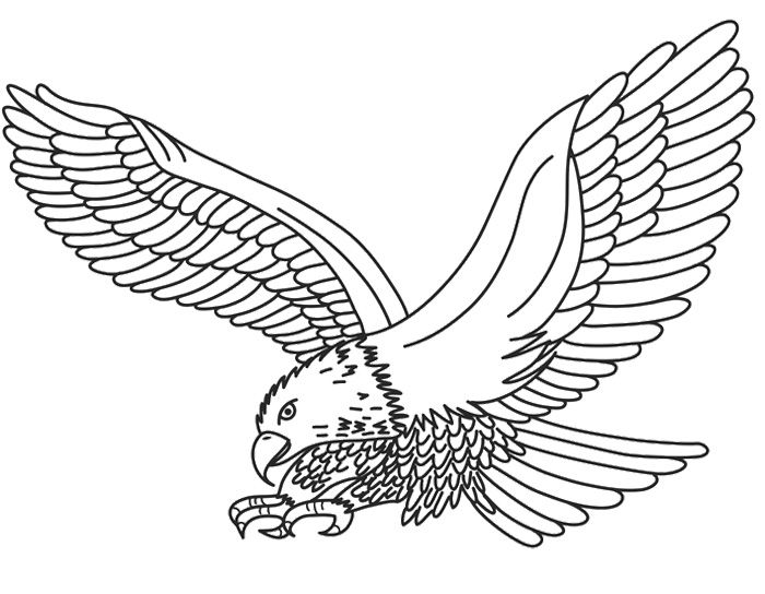 700x544 9 Best Eagle Embroidery Patterns Images On Embroidery