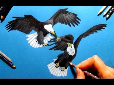 480x360 Speed Drawing 2 Bald Eagles, Colored Pencils On Blue Paper