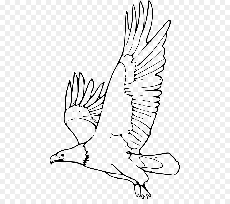 900x800 Bald Eagle Black And White Hawk Eagle Drawing Clip Art