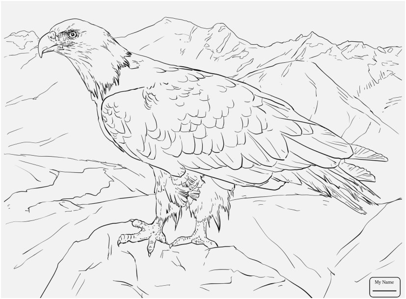 827x609 Bald Eagle Coloring Page Footage Birds Bald Eagle Attack Eagle