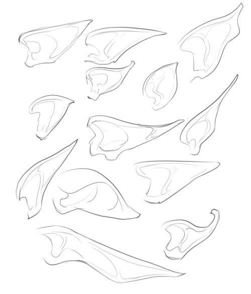 500x587 The 78 Best Althaea Holimion Images On Drawing Ideas