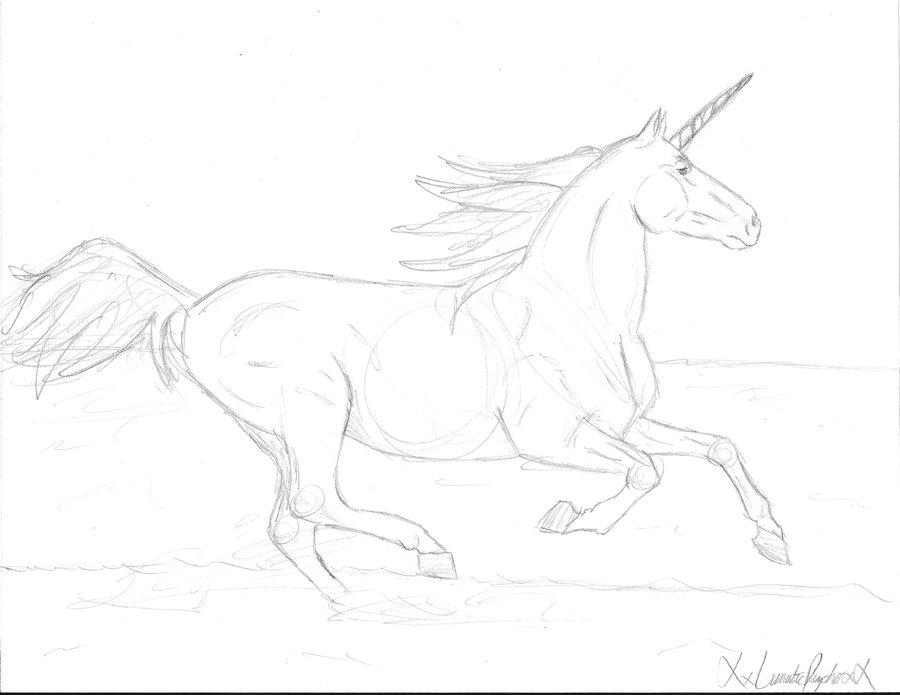 900x695 Unicorn Drawing By Xxlunaticpsychoxx